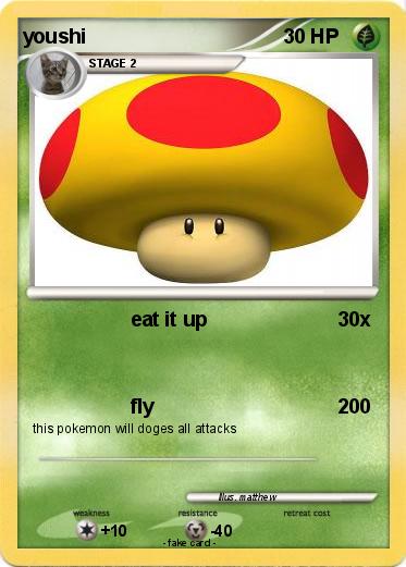 Pokemon youshi