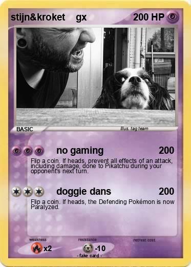 Pokemon stijn&kroket    gx