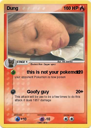 Pokemon Dung