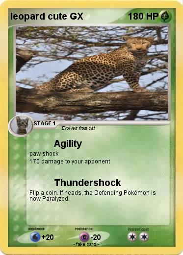 Pokemon leopard cute GX