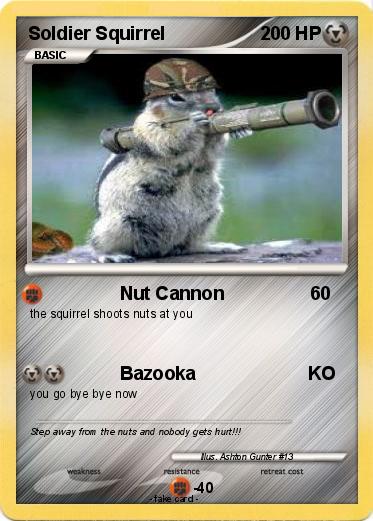 Pokemon Soldier Squirrel