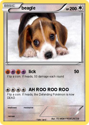 Pokemon beagle