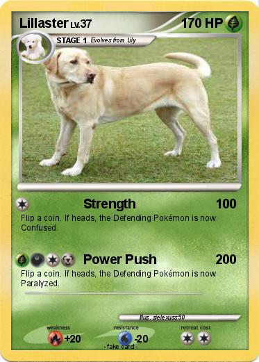 Pokemon Lillaster
