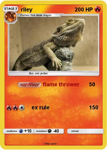 Pokemon riley