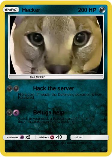 Pokemon Hecker