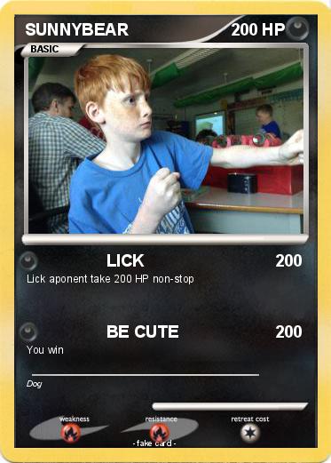 Pokemon SUNNYBEAR