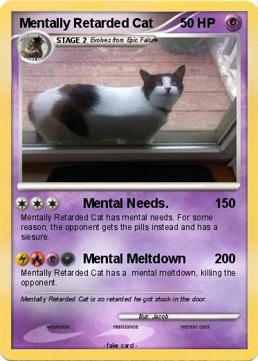 Pokemon Mentally Retarded Cat