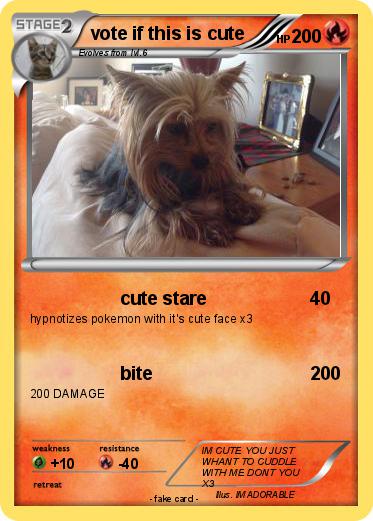 Pokemon vote if this is cute