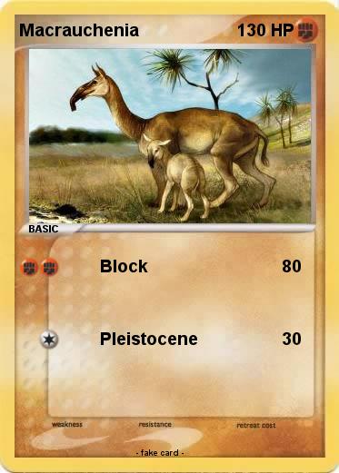 Pokemon Macrauchenia