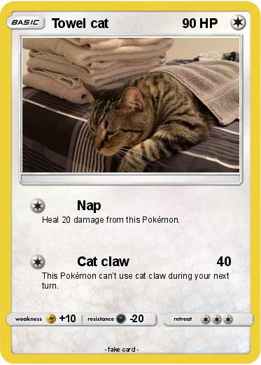 Pokemon Towel cat