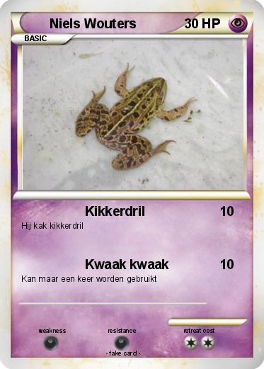 Pokemon Niels Wouters