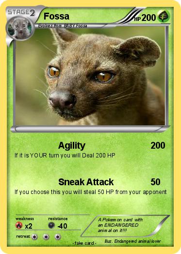 Pokemon Fossa