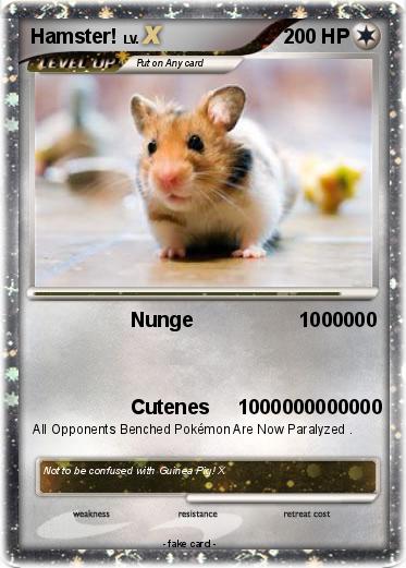 Pokemon Hamster!