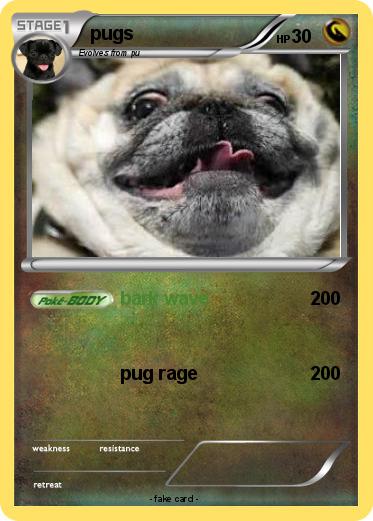 Pokemon pugs