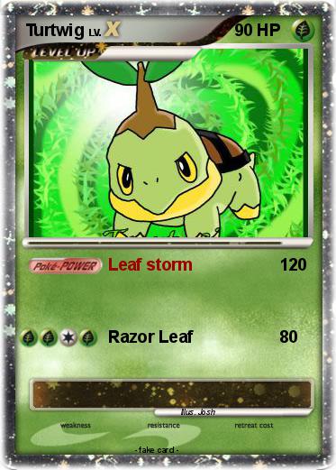 Pokemon Turtwig