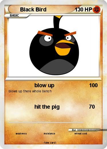 Pokemon Black Bird