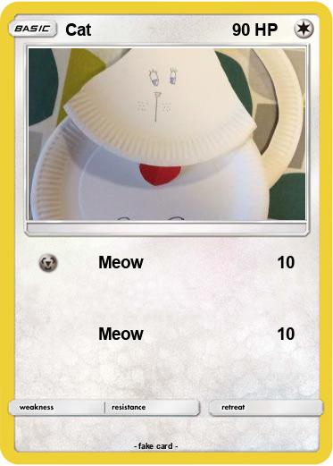 Pokemon Cat