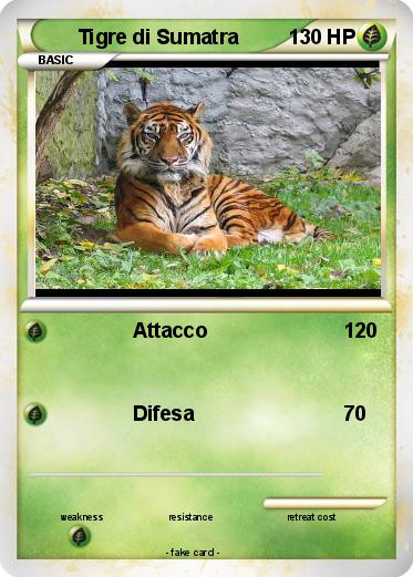 Pokemon Tigre di Sumatra