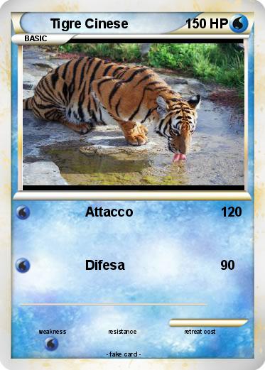 Pokemon Tigre Cinese