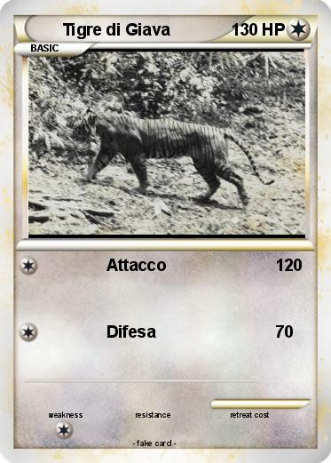 Pokemon Tigre di Giava