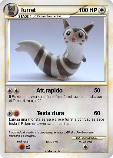 Pokemon furret
