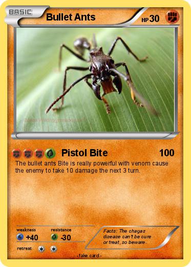 Pokemon Bullet Ants