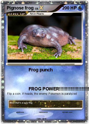 Pokemon Pignose frog