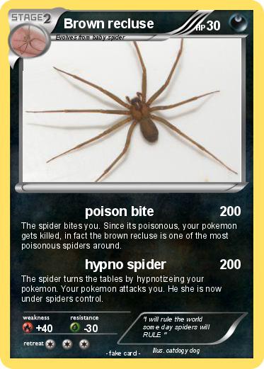 Pokemon Brown recluse