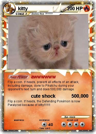 Pokemon kitty
