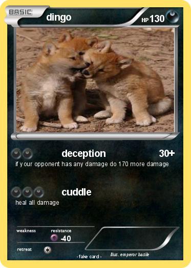 Pokemon dingo