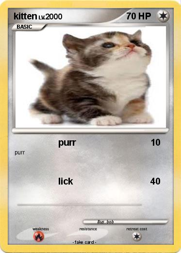 Pokemon kitten