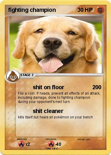 Pokemon fighting champion