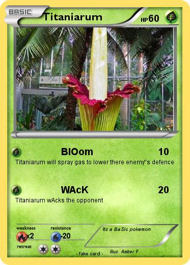 Pokemon Titaniarum