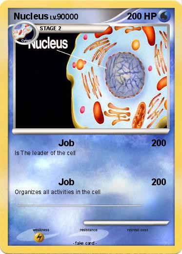 Pokemon Nucleus