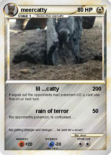 Pokemon meercatty