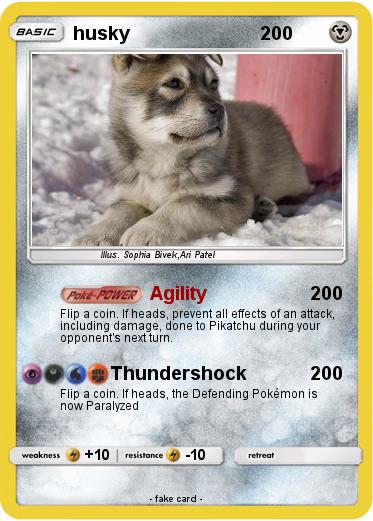 Pokemon husky