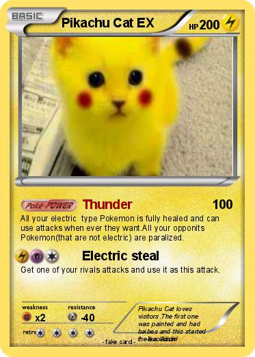 Pokemon Pikachu Cat EX
