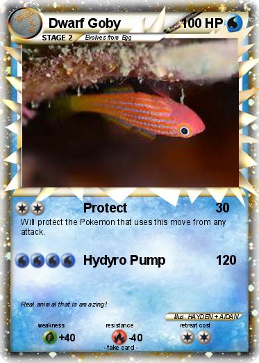 Pokemon Dwarf Goby