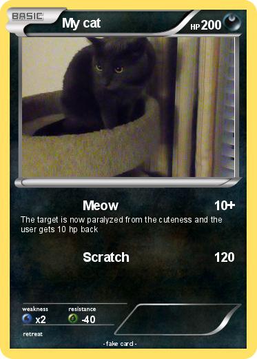 Pokemon My cat
