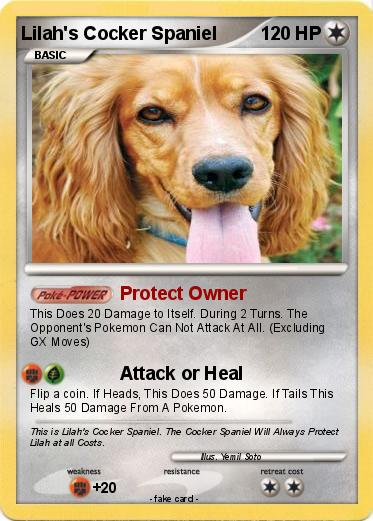 Pokemon Lilah's Cocker Spaniel