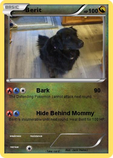 Pokemon Berit