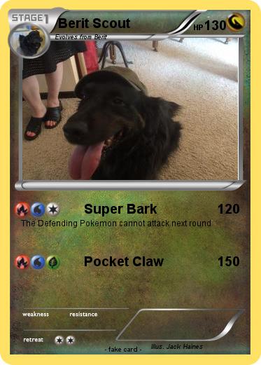 Pokemon Berit Scout