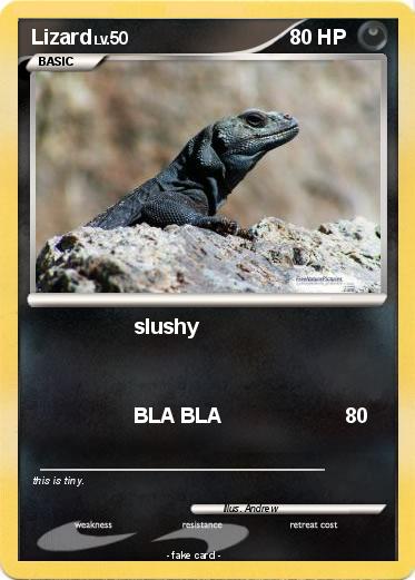 Pokemon Lizard