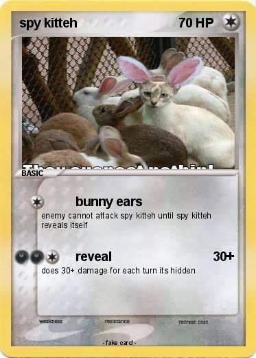 Pokemon spy kitteh