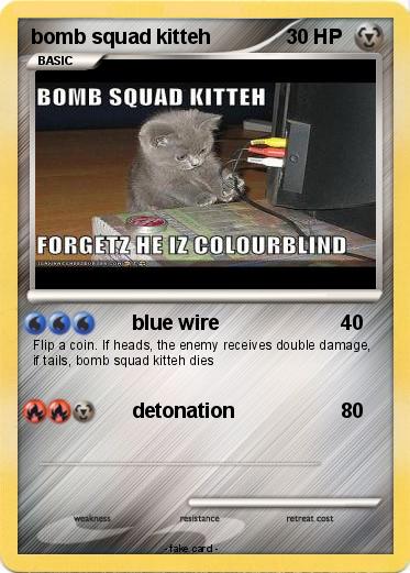 Pokemon bomb squad kitteh