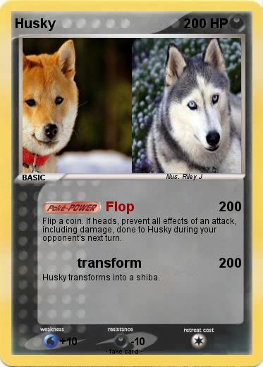 Pokemon Husky