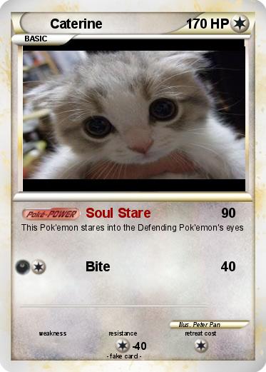 Pokemon Caterine