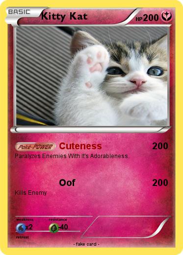 Pokemon Kitty Kat