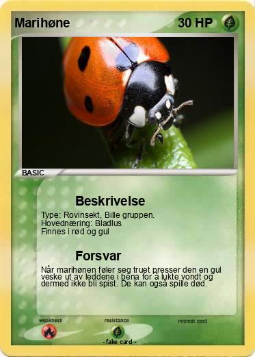 Pokemon Marihøne