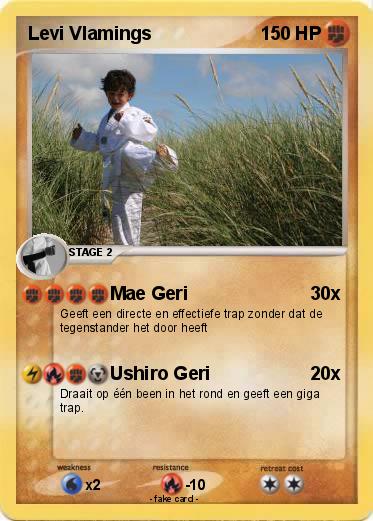 Pokemon Levi Vlamings